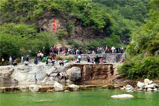云臺(tái)山與巔峰智業(yè)攜手 打造中國(guó)5a景區(qū)管理樣板