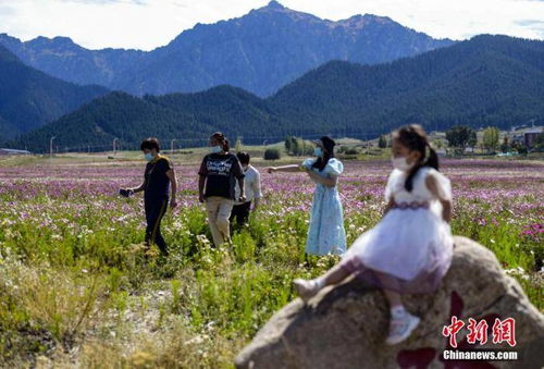 文旅部 旅游景區(qū)接待游客量不超過(guò)最大承載量的75